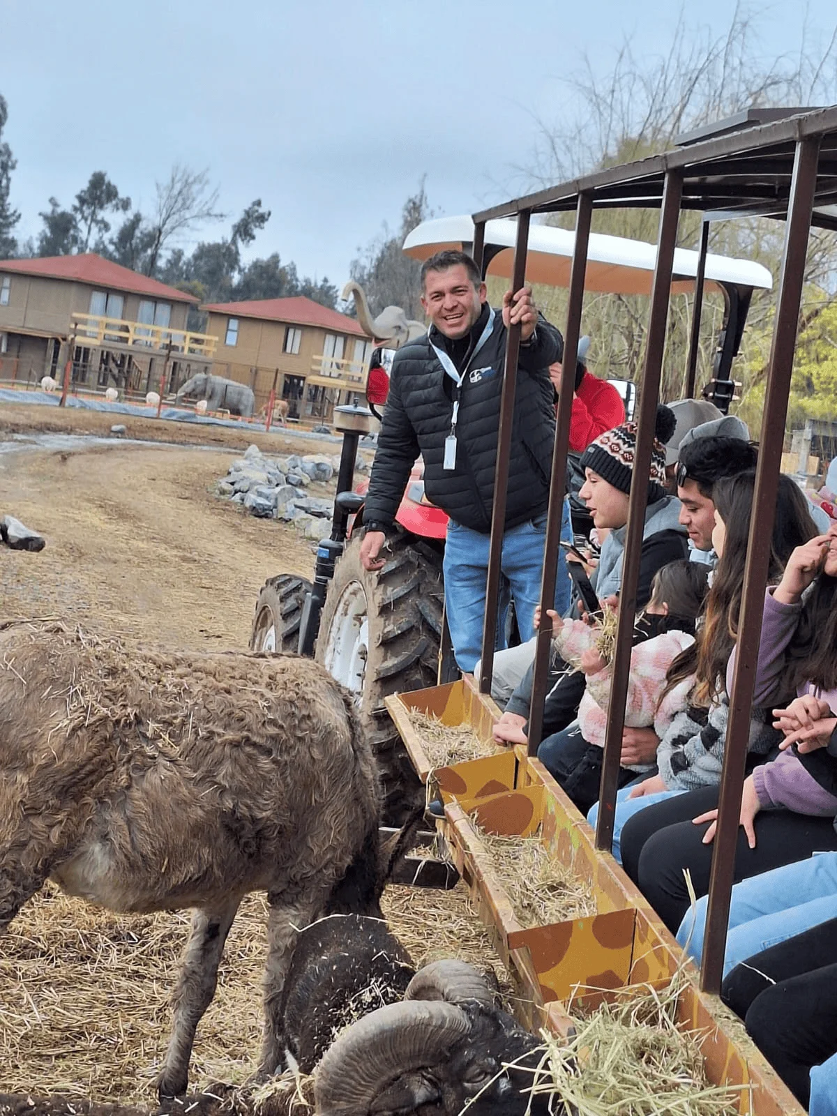 Transporte de Pasajeros